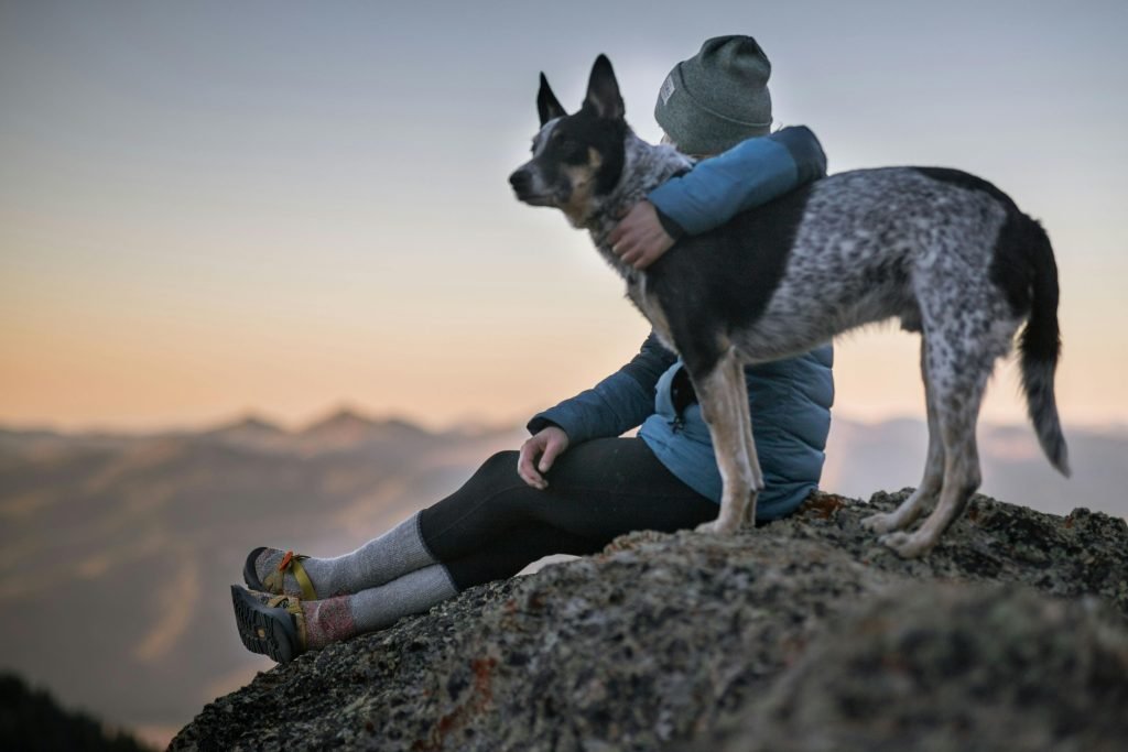 One of the healthiest dog breeds standing outdoors