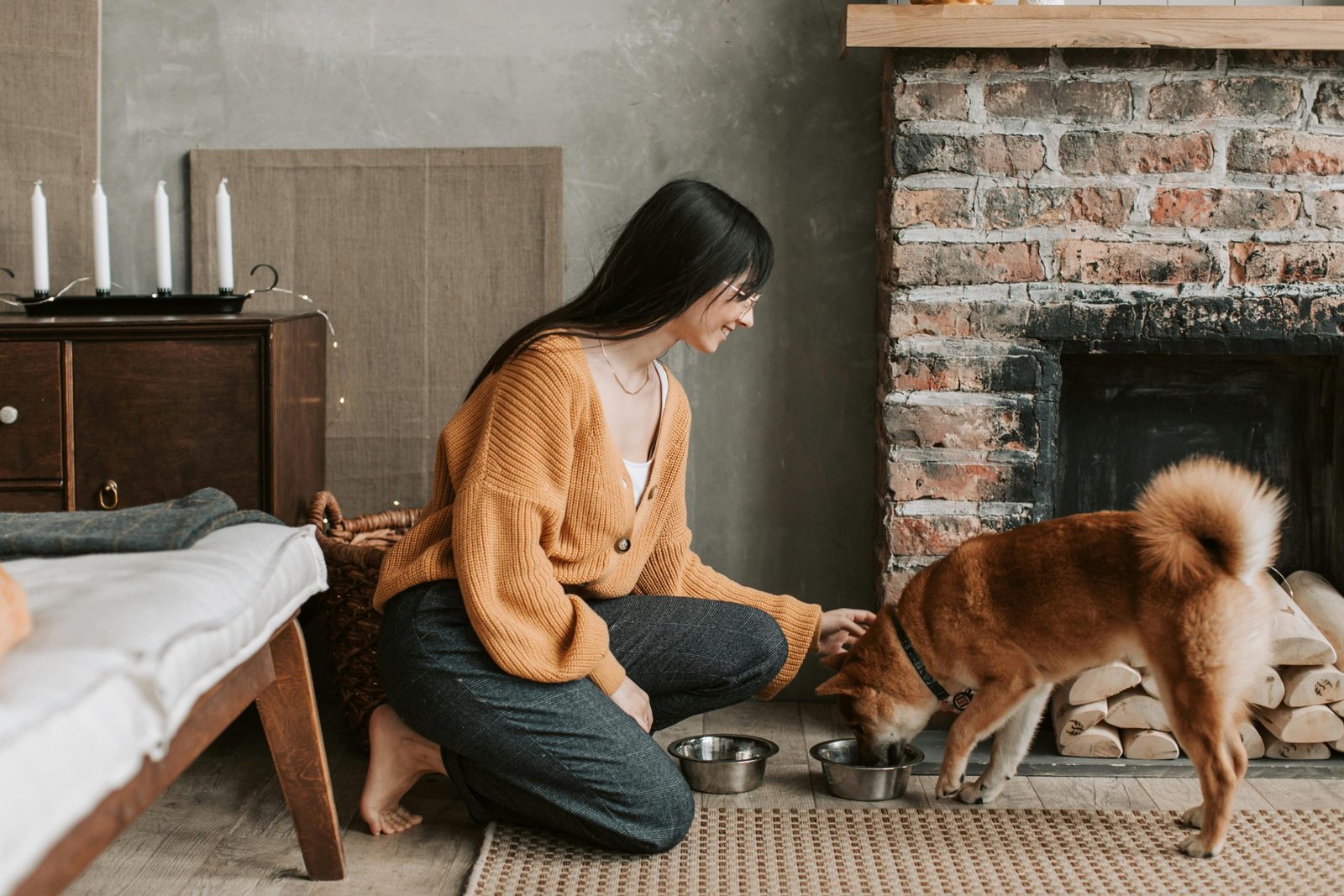 How to Read a Dog Food Label Like a Veterinarian at Home