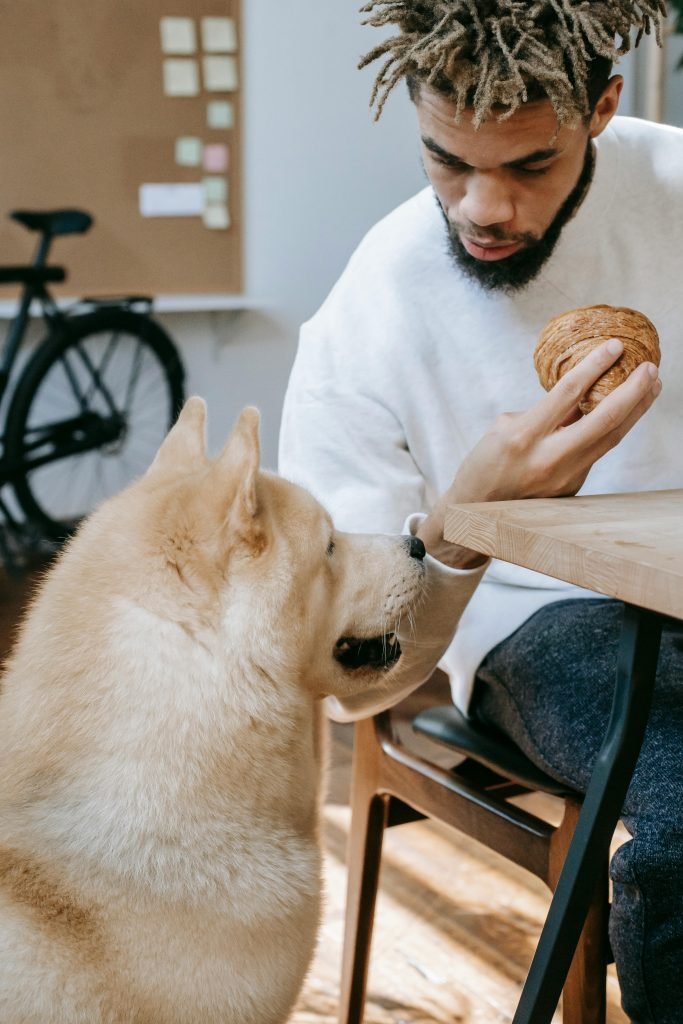 Grain-Free Dog Food: Is It Dangerous or Safe?