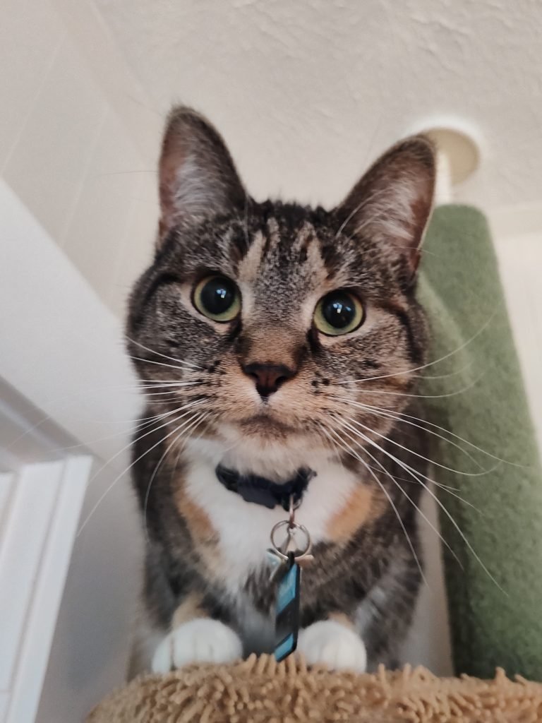 Millie