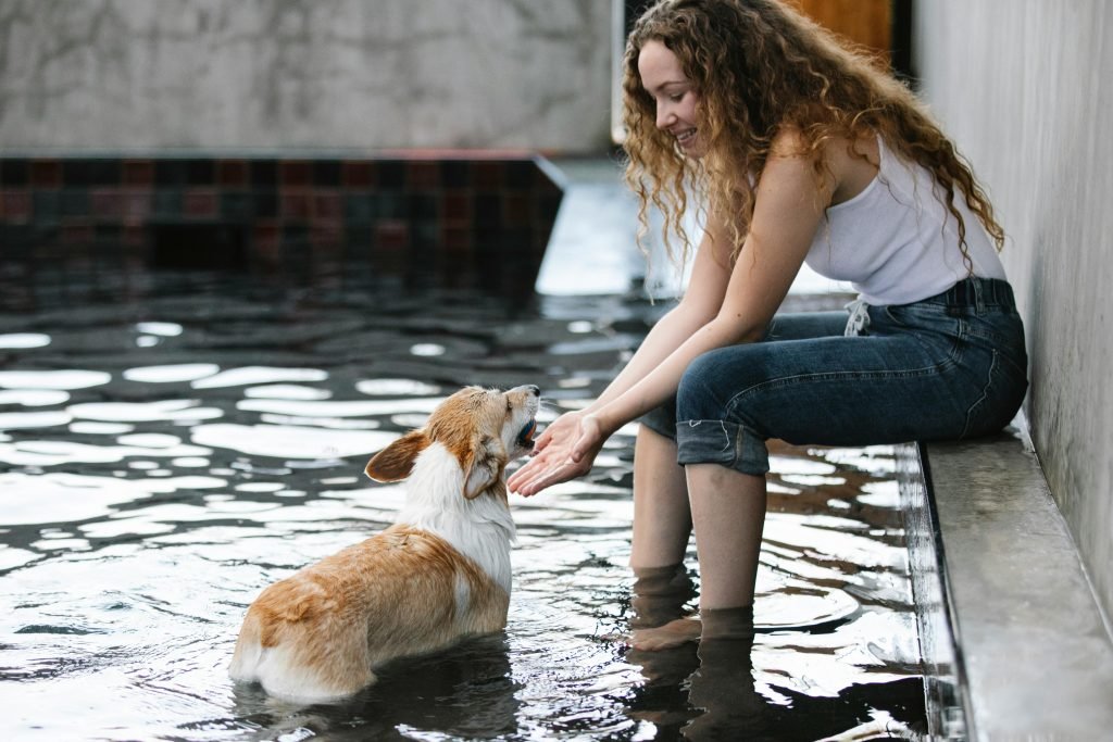 Side view of content female taming purebred dog with ball in mouth while looking at each other in swimming pool