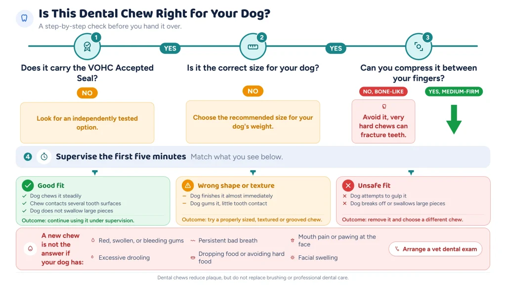 The Best Dog Dental Explained by a Vet